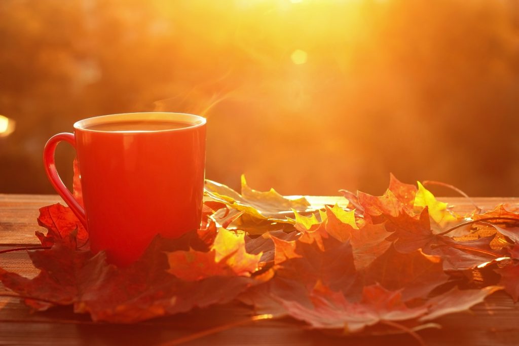 mug and autumn leaves