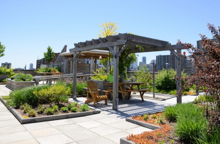 rooftoop garden